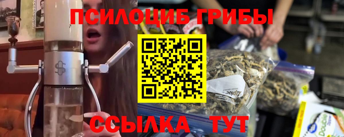 Псилоцибиновые грибы прущие грибы  Псилоцибиновые грибы мухоморы  Вход с VPN  Юрга 