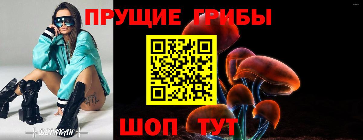 Галлюциногенные грибы прущие грибы Юрга